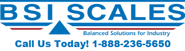 BSI Scales Logo
